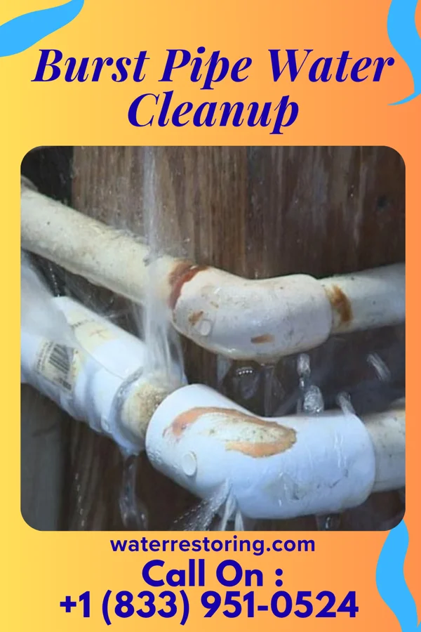 Burst Pipe Water Cleanup in Orwigsburg, PA