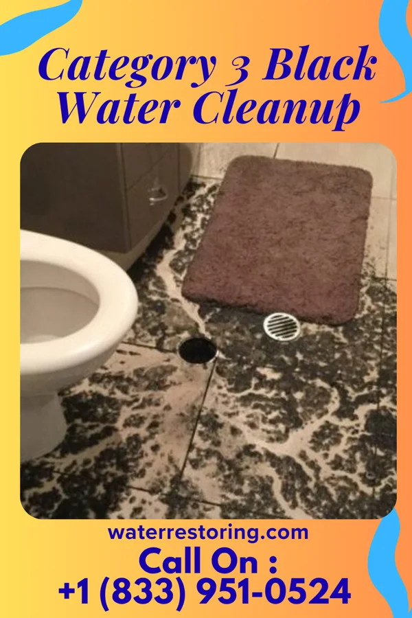 Category 3 Black Water Cleanup in Orwigsburg, PA