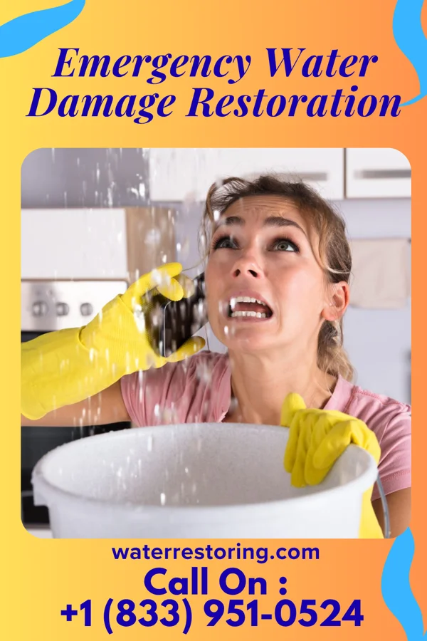 Emergency Water Damage Restoration in Orwigsburg, PA