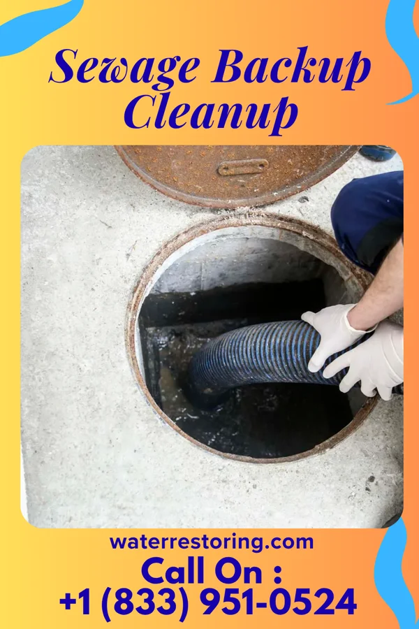Sewage Backup Cleanup in Orwigsburg, PA