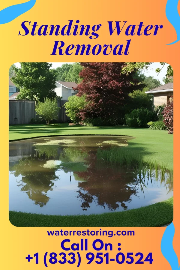 Standing Water Removal in Orwigsburg, PA
